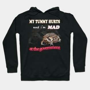 My Tummy Hurts And I'm MAD At The Government Meme Hoodie